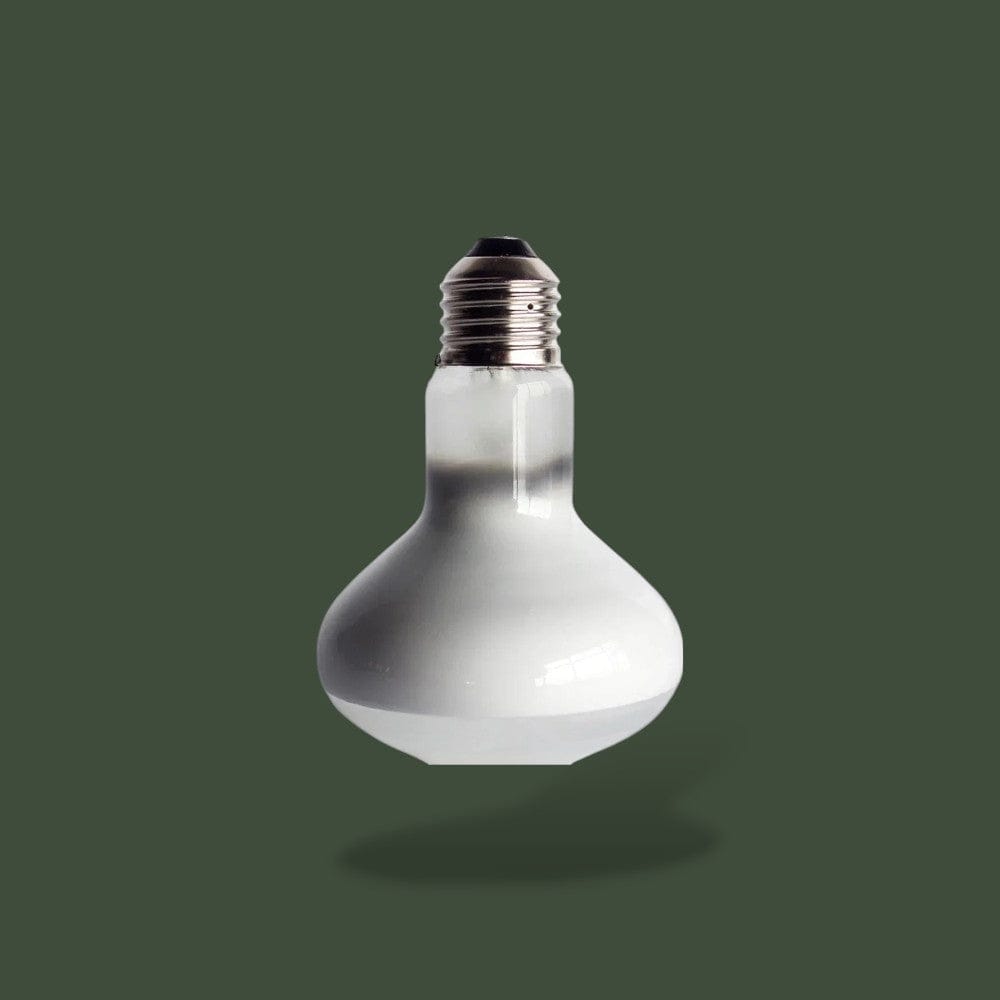 Ampoule | Reptile Terranys