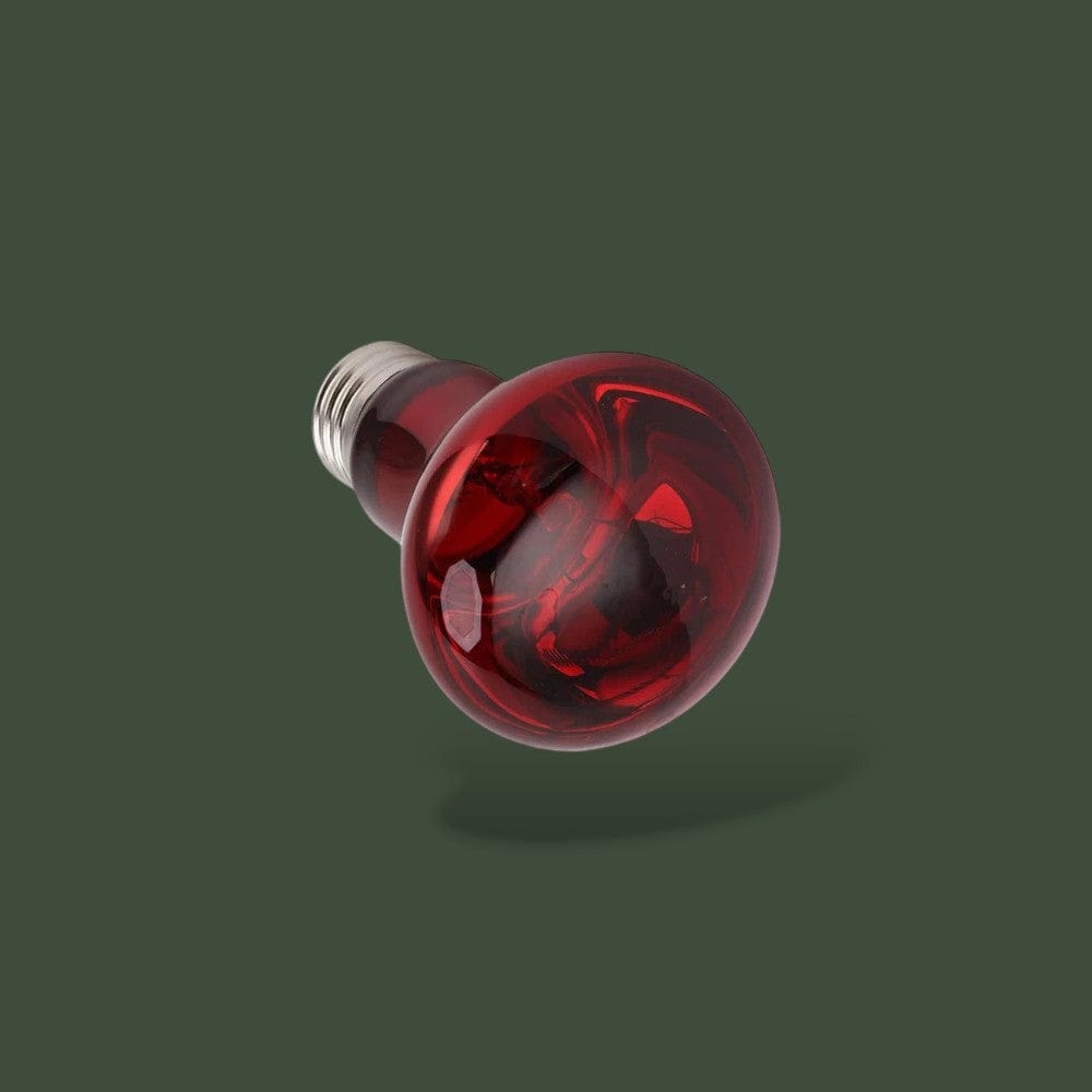 Ampoule Rouge pour Lampe Chauffante Terranys
