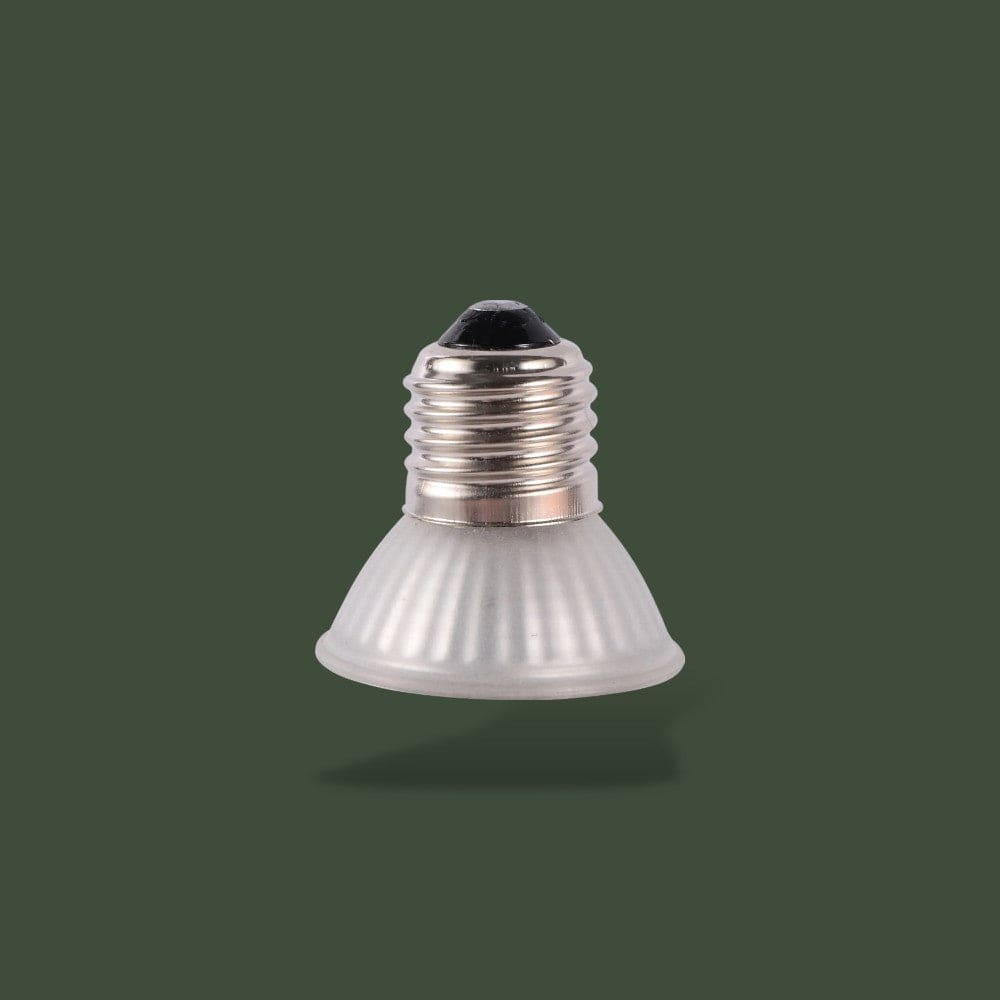 Ampoule UV et Chauffante pour Terrarium Terranys