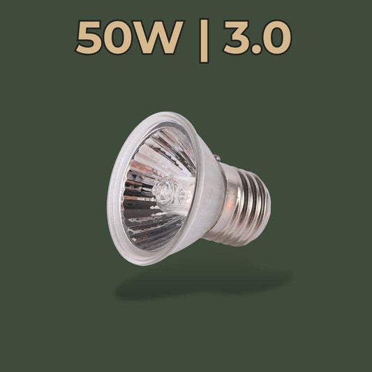 Ampoule UV pour Terrarium Terranys