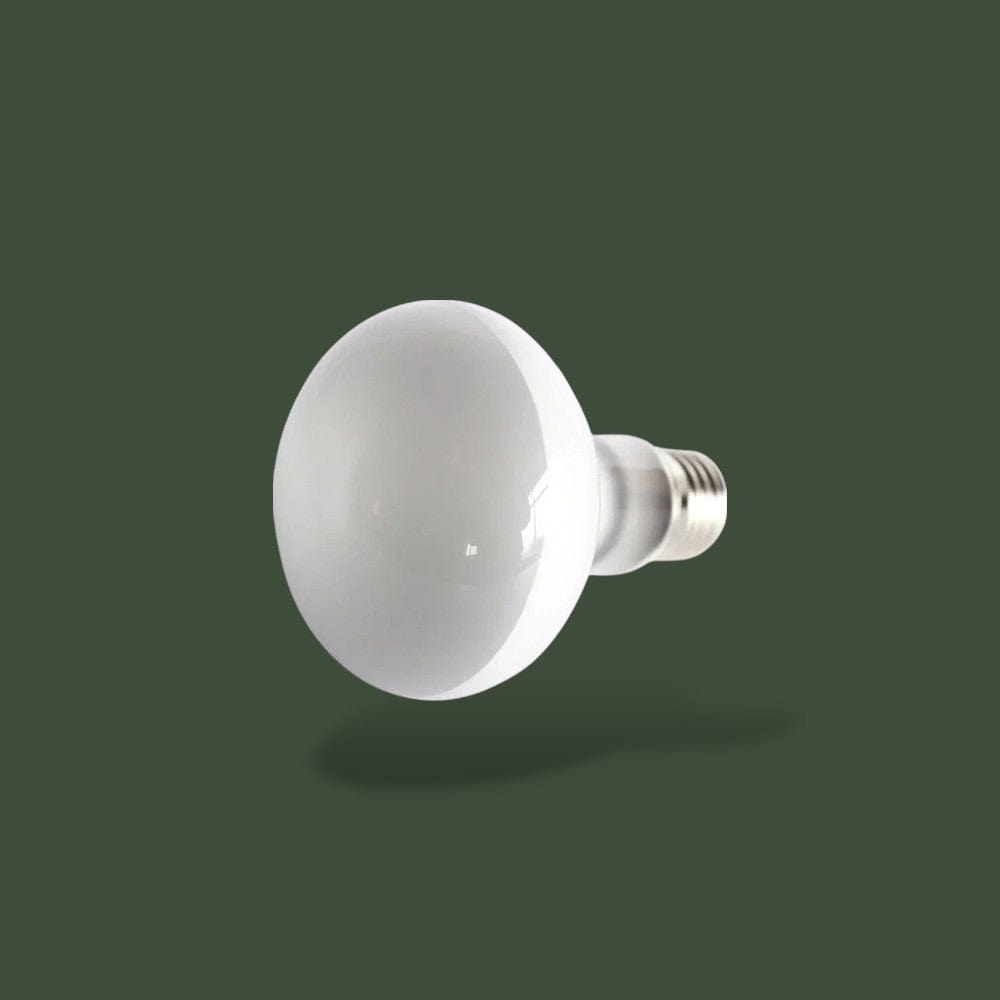 Ampoule UVB Terranys