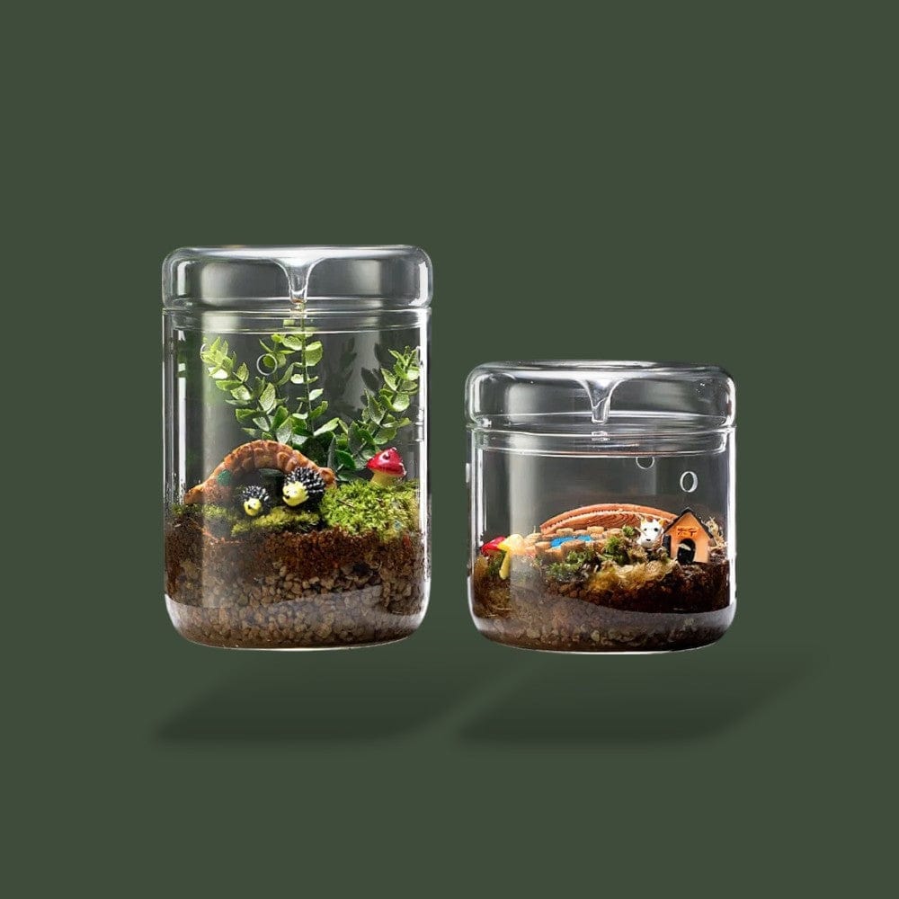 Bocal a Terrarium Terranys