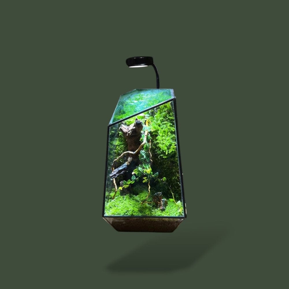 Bocal | Design Terranys