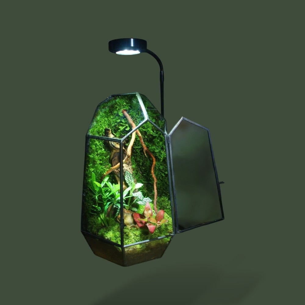 Bocal | Design Terranys