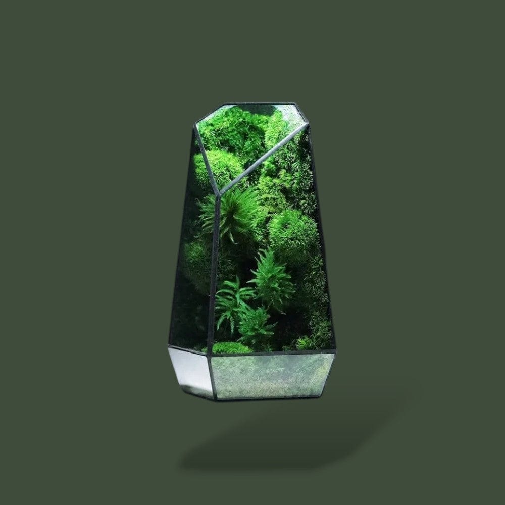 Bocal | Design Terranys