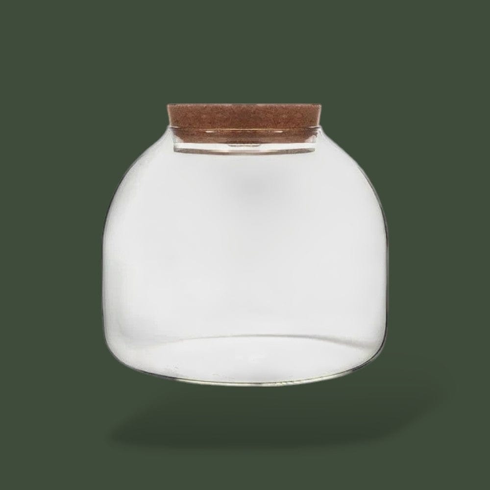 Bocal | Terrarium Terranys