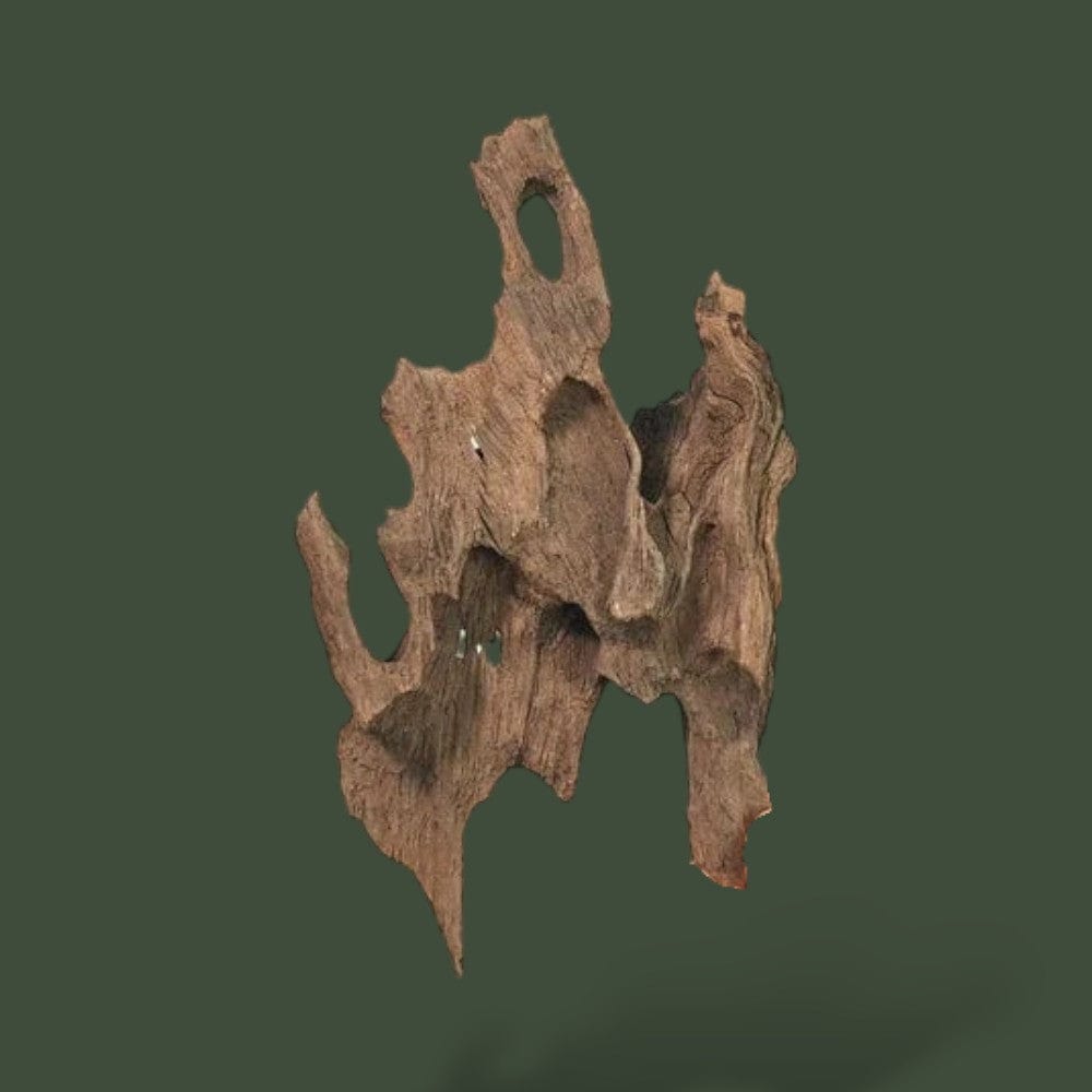 Bois Flotté | Aquarium Terranys