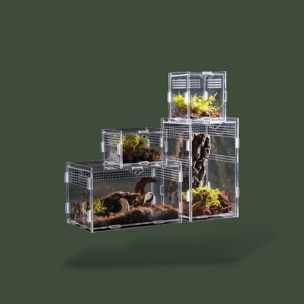 Boite Acrylique Reptile Terranys