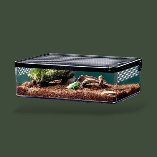 Boite d'élevage | Reptile Terranys