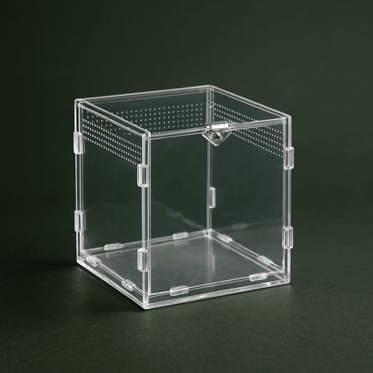 Boite en Plastique ventilée | Terranys Terranys