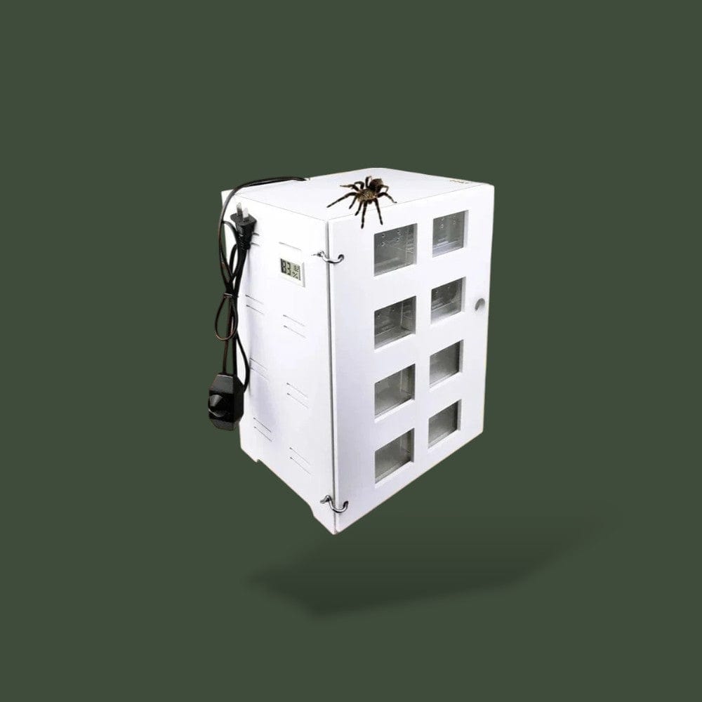 Boite Insecte a Manger Terranys