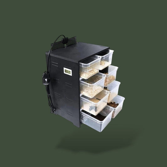 Boite Insecte Terranys