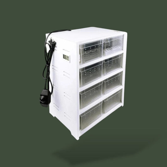 Boite Plastique Insecte Terranys