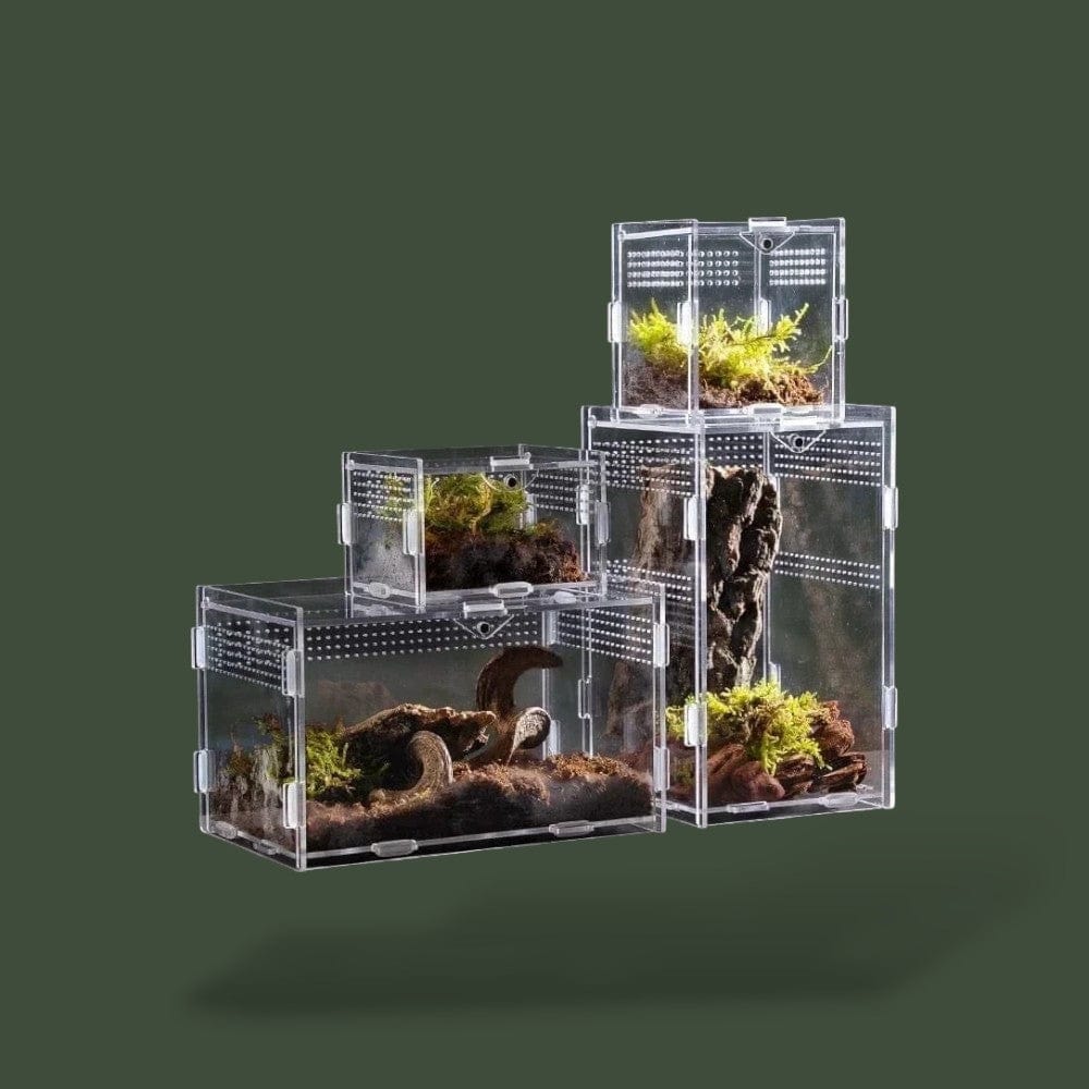 Boite Plexiglass | Reptile Terranys