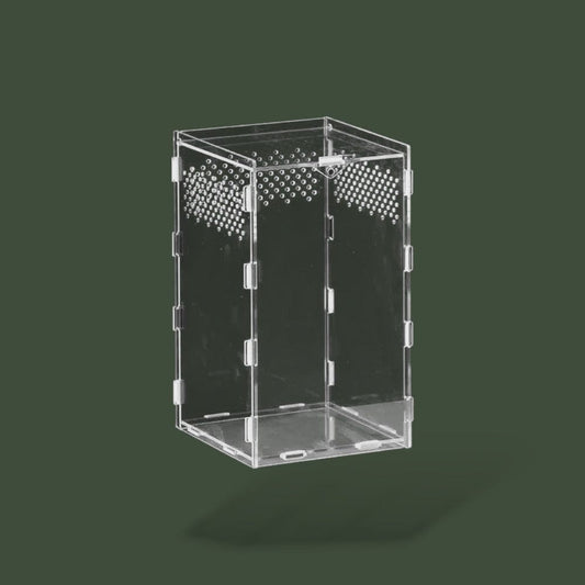 Boite Plexiglass | Reptile Terranys