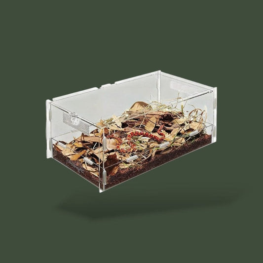 Boite pour Gecko Terranys