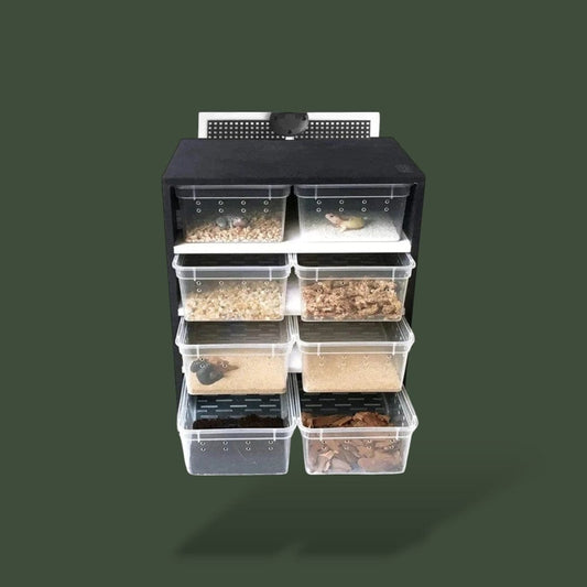 Boite pour Nourriture Reptile | Insecte Terranys