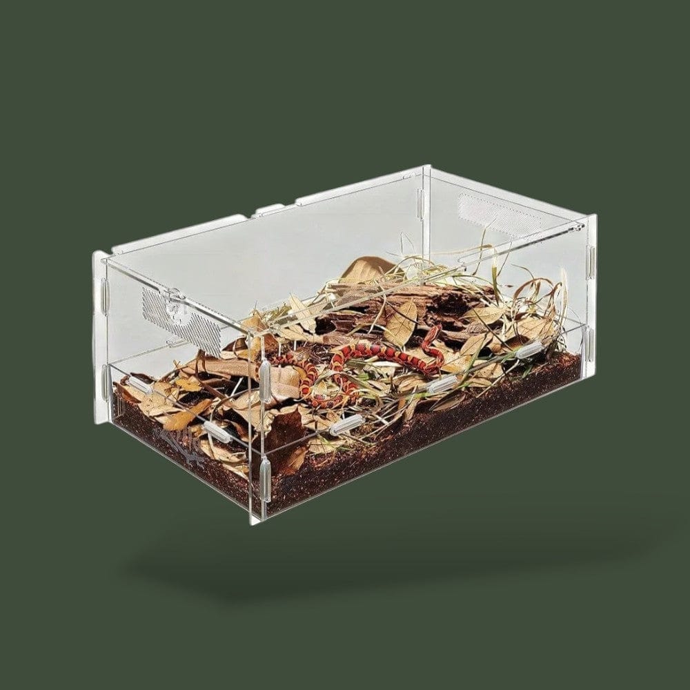 Boite Reptile Terranys
