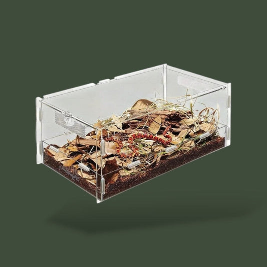 Boite Reptile Terranys