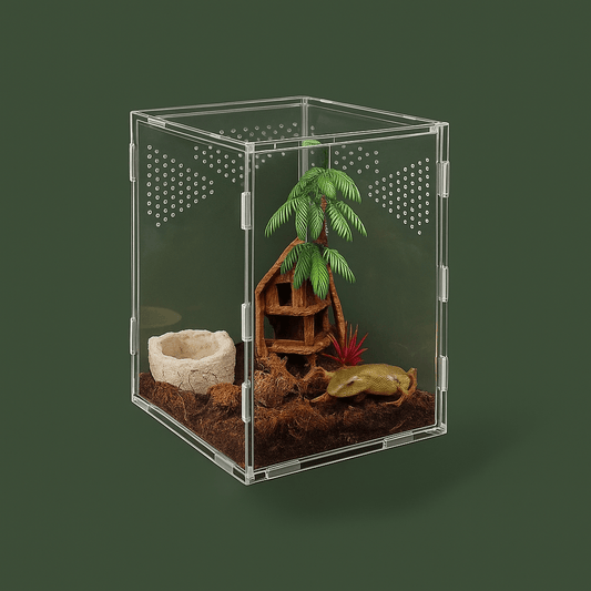 Boite ventilée pour Araignée | Terranys Terranys