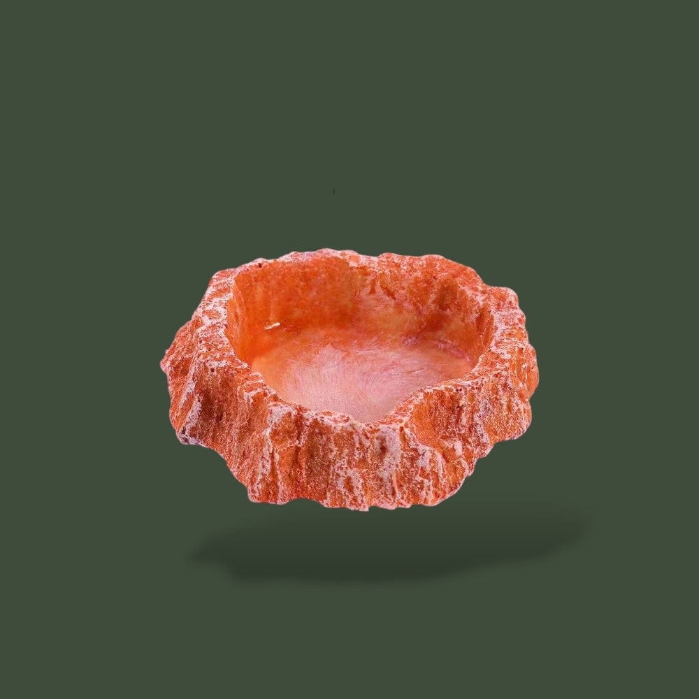 Bol a Nourriture | Pour Reptile Terranys