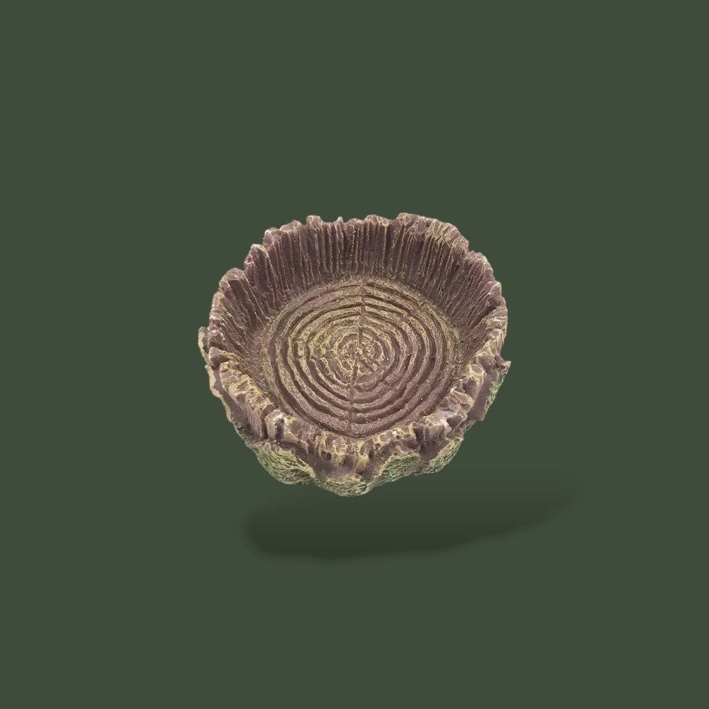 Bol d'eau | Tortue de Terre Terranys