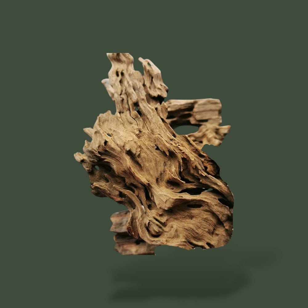 Bout de Bois Terranys
