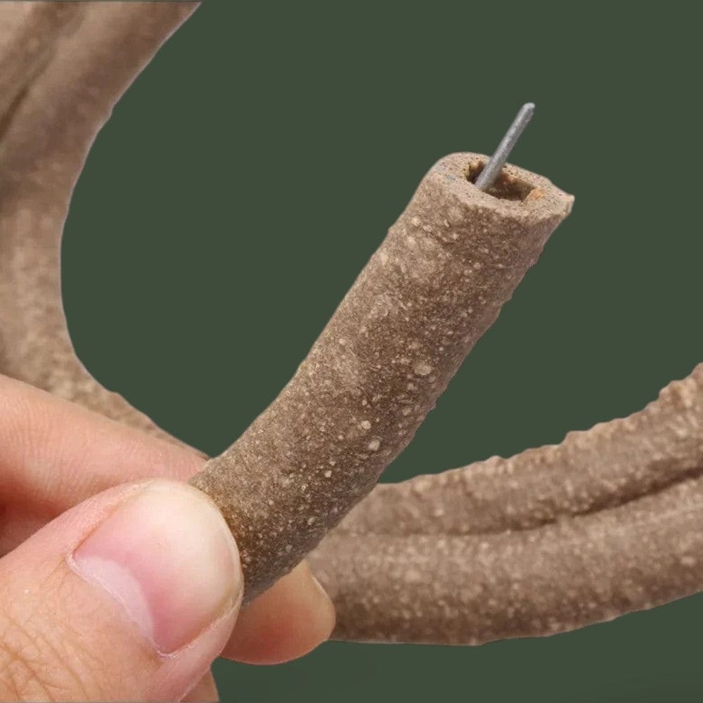 Branches de Vigne pour Reptiles Terranys