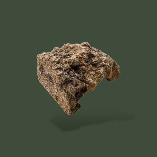 Cachette pour Terrarium pour Reptile Terranys