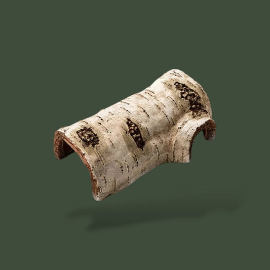 Cachette Reptile | Bois Terranys