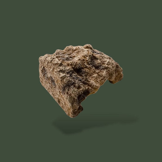 Cachette | Tortue Terrestre  Terranys