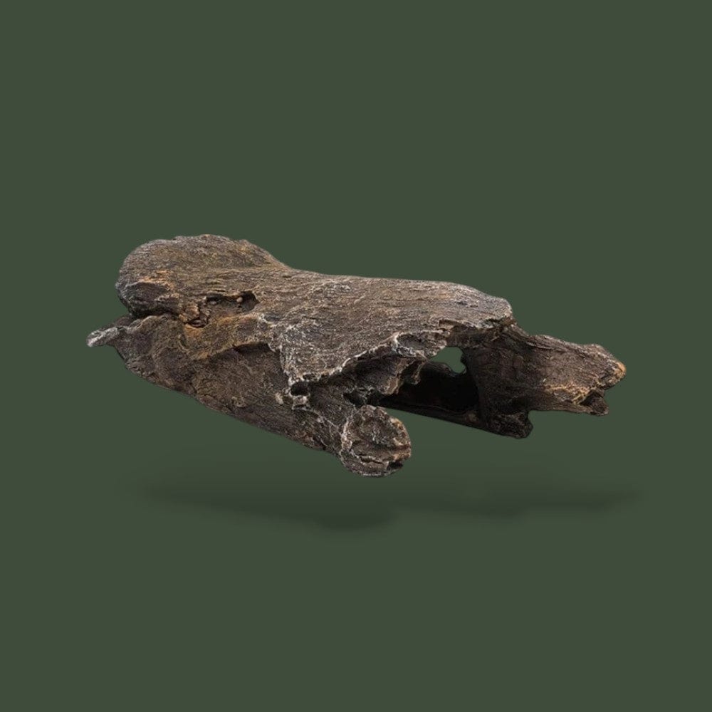 Copeaux de Bois | Pour Reptile Terranys