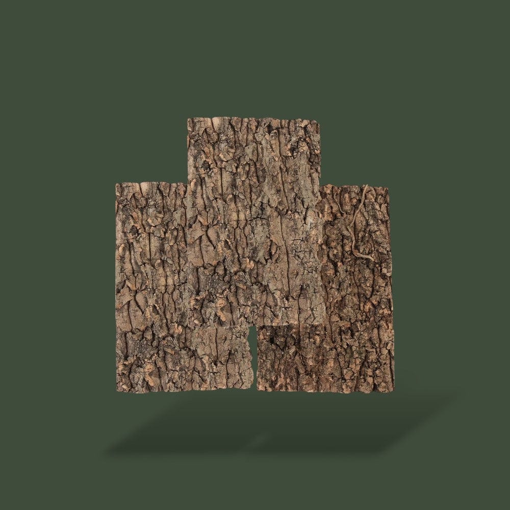 Copeaux de bois | Reptiles Terranys
