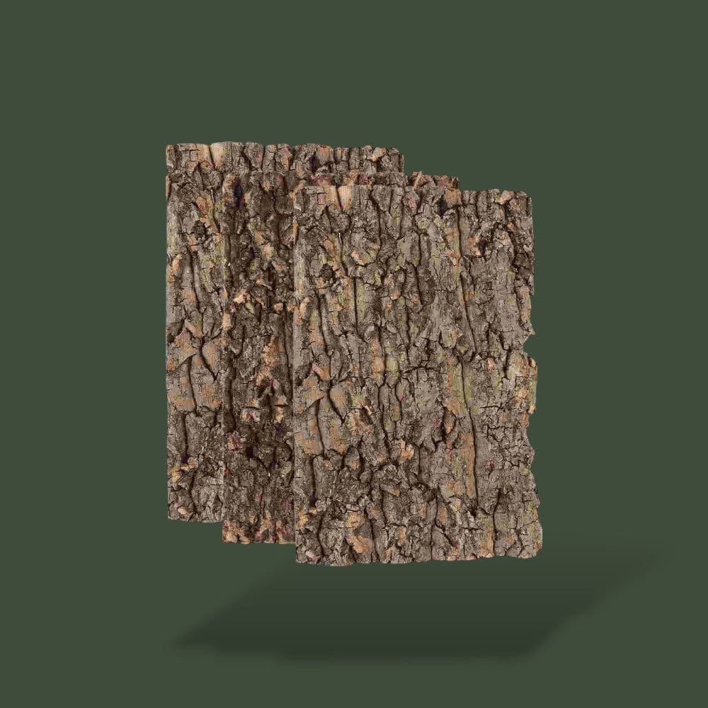 Copeaux de bois | Reptiles Terranys