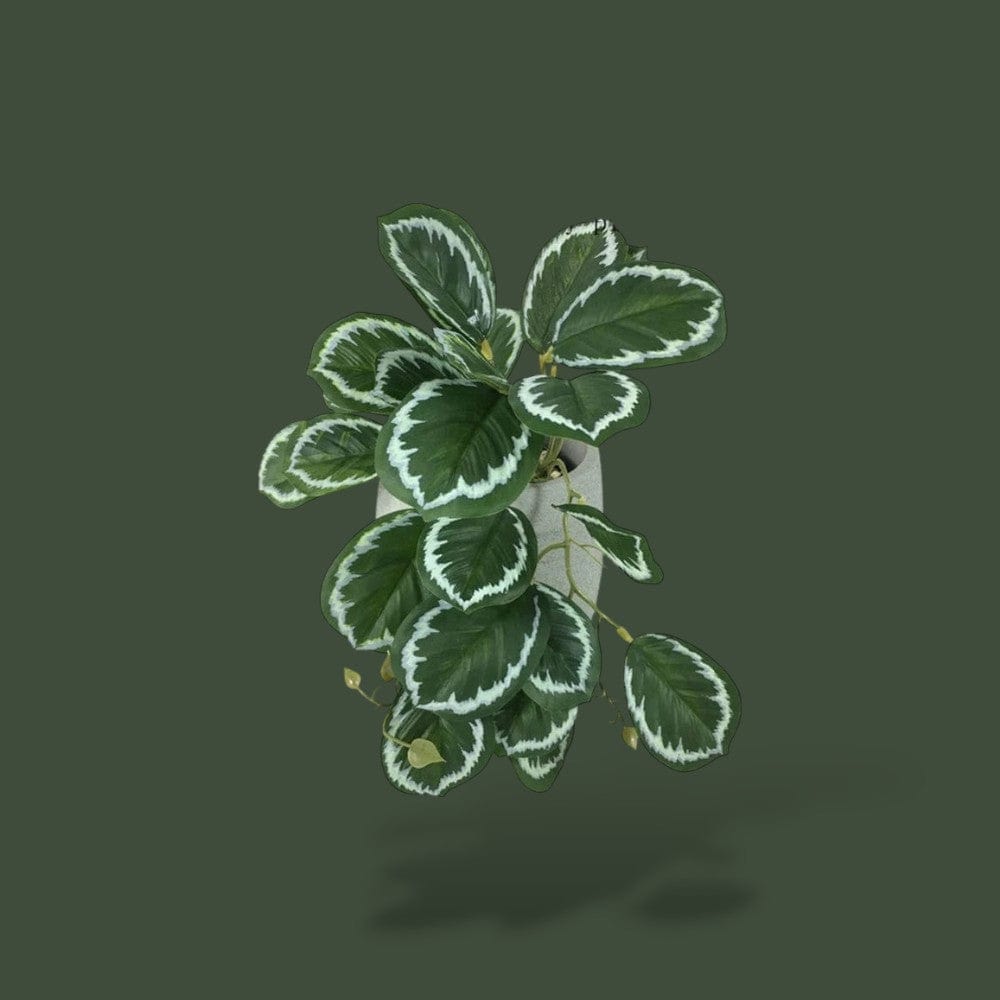 Déco Fausses Plantes | Terrarium Terranys