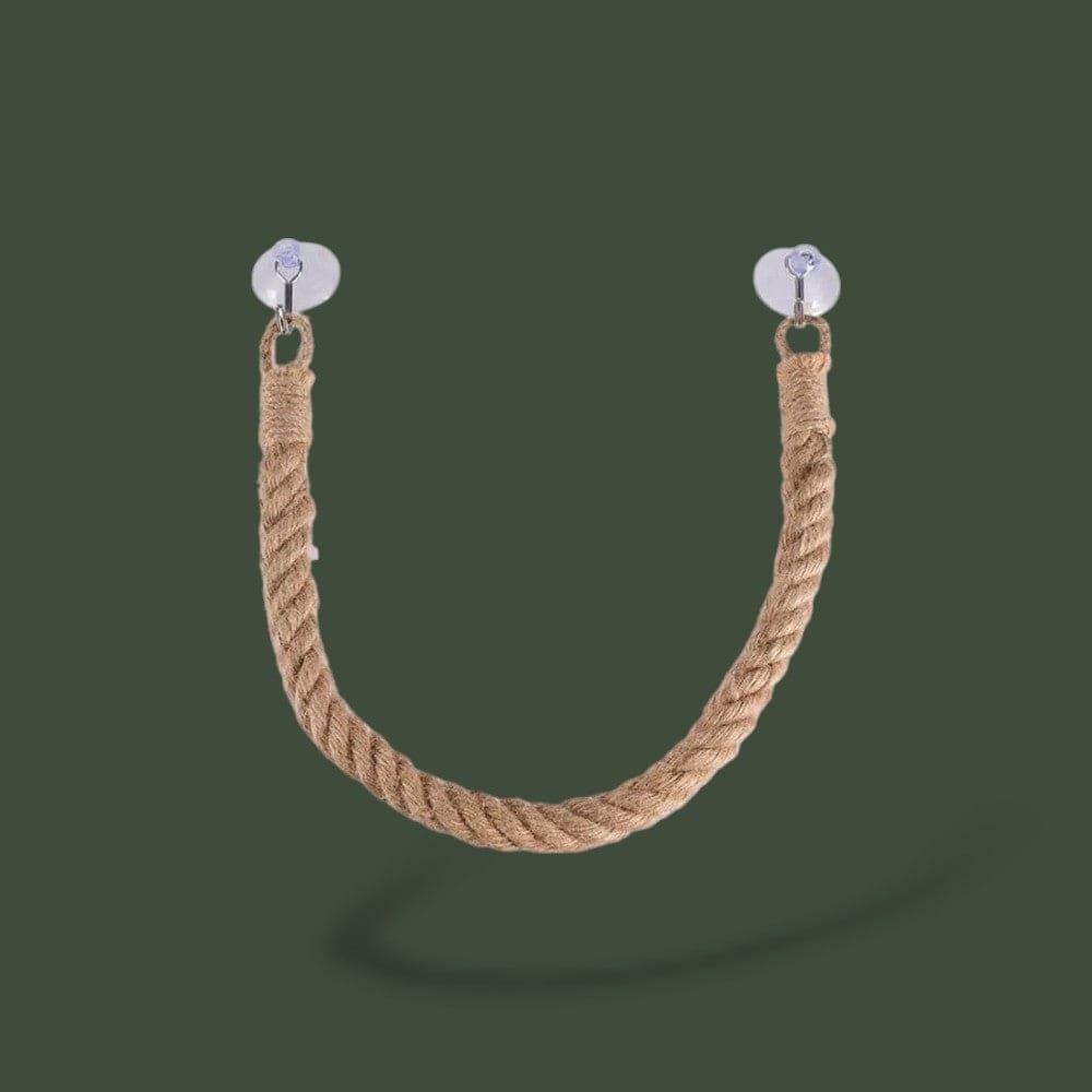 Déco Terrarium | Gecko Terranys