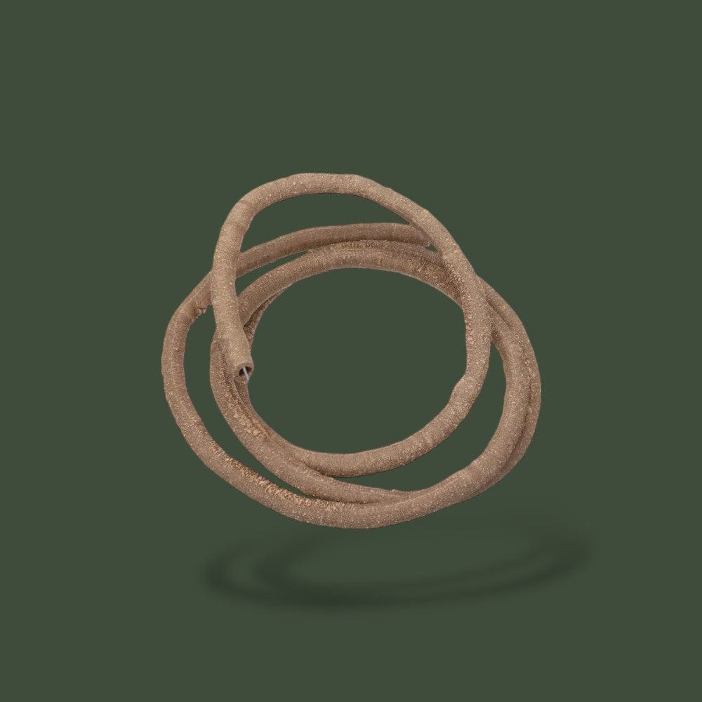 Decor | Terrarium Terranys