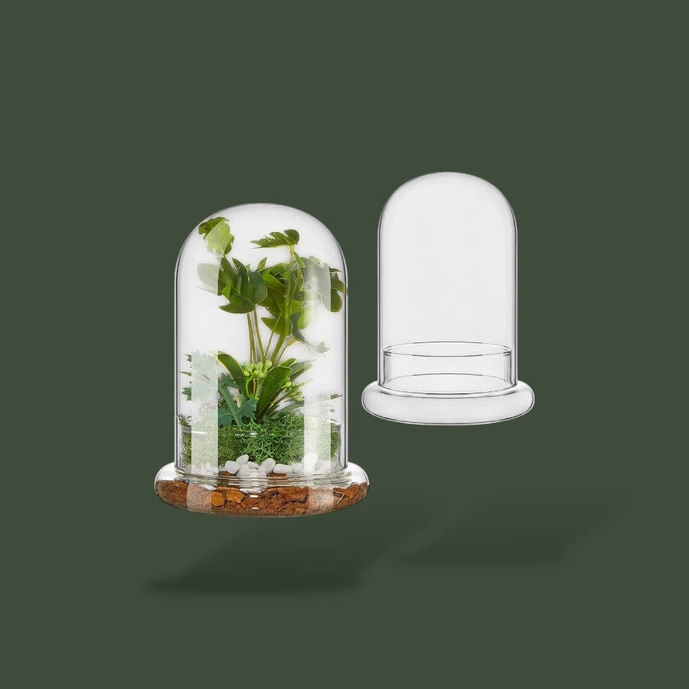 Dôme Terrarium Terranys