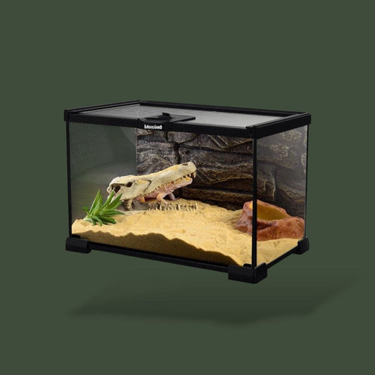 Gecko léopard | Terrarium Terranys