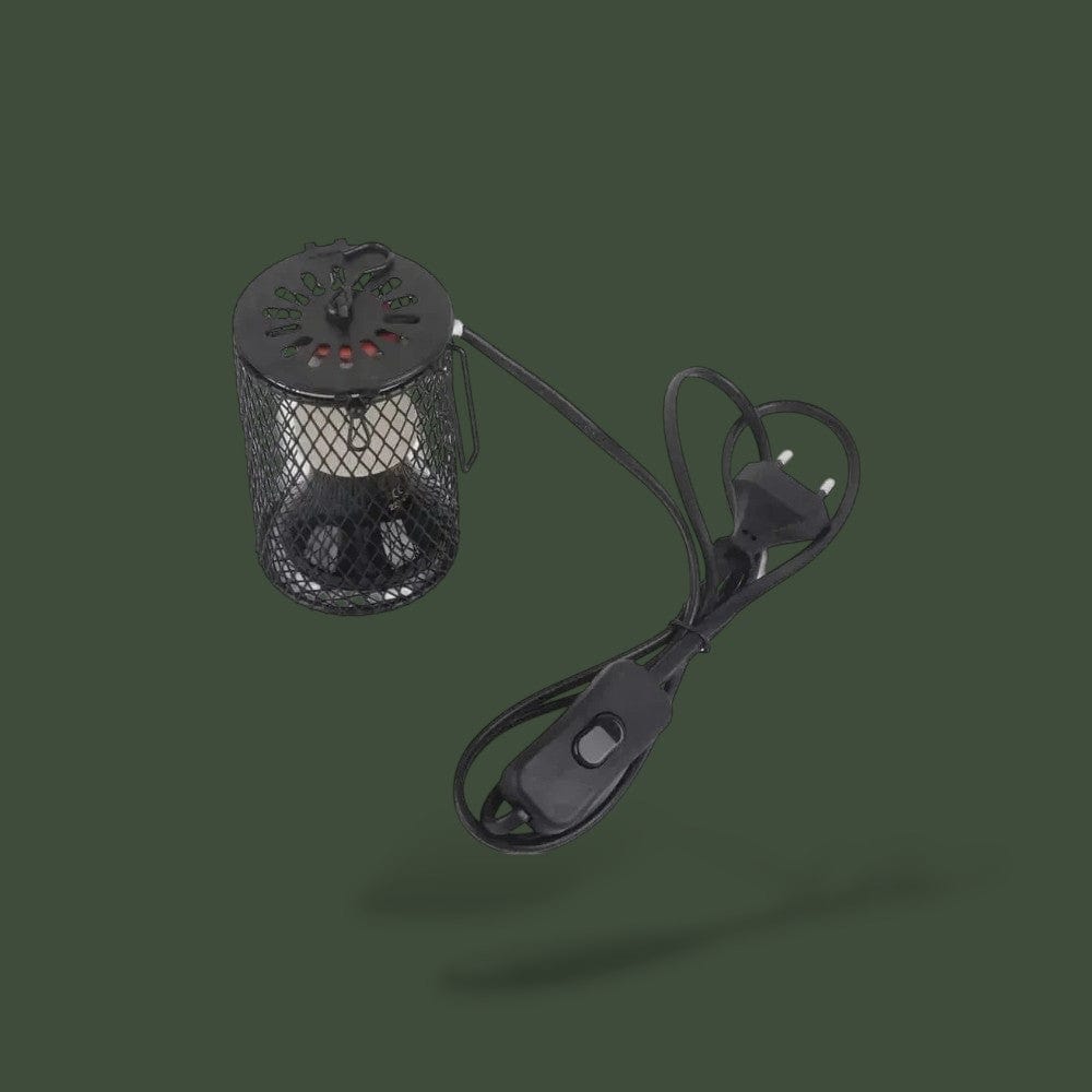 Grillage pour Reptile Terranys
