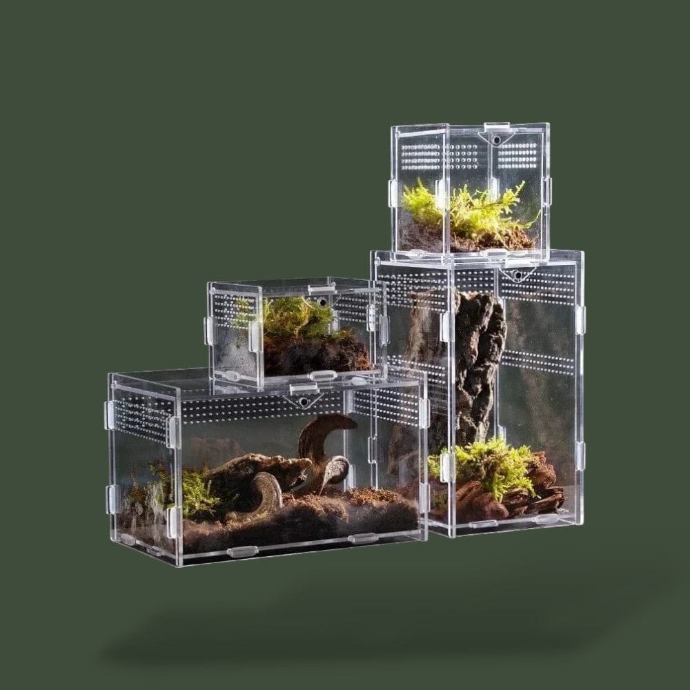 Habitat de Reptiles Terranys