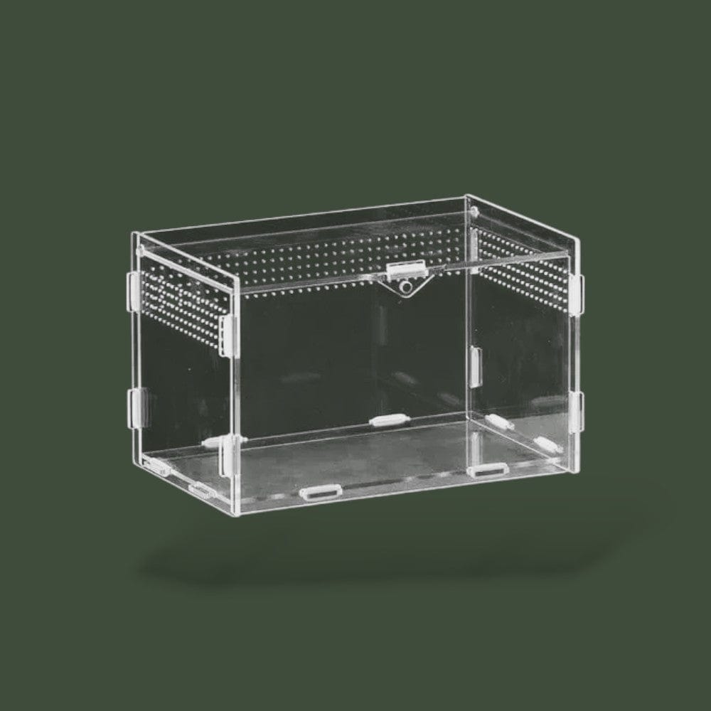 Habitat pour Tortue Hermann  Terranys