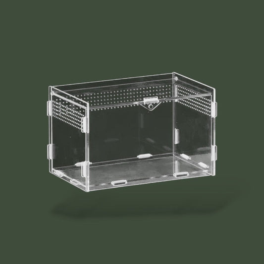 Habitat pour Tortue Hermann  Terranys