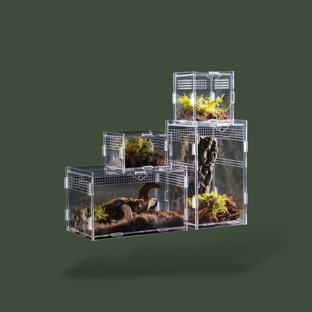 Habitat pour Tortue Terrestre Terranys