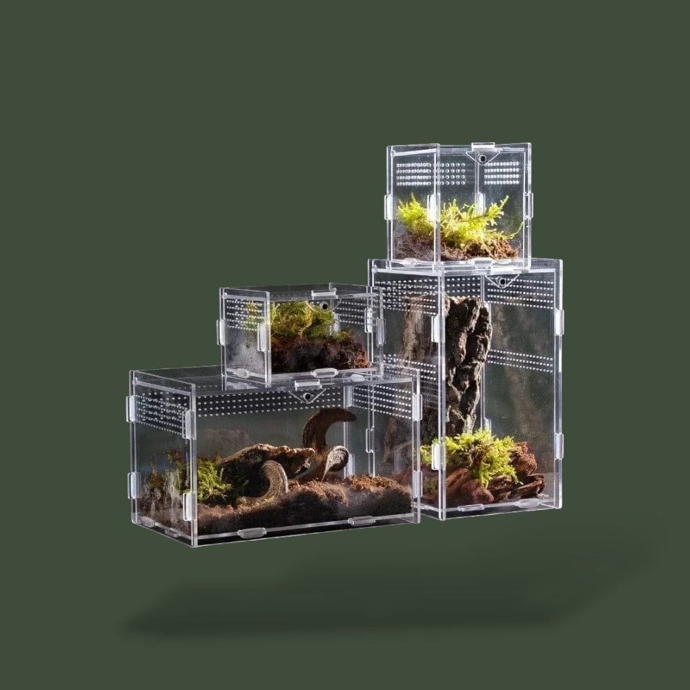 Habitat Tortue Terrestre Terranys