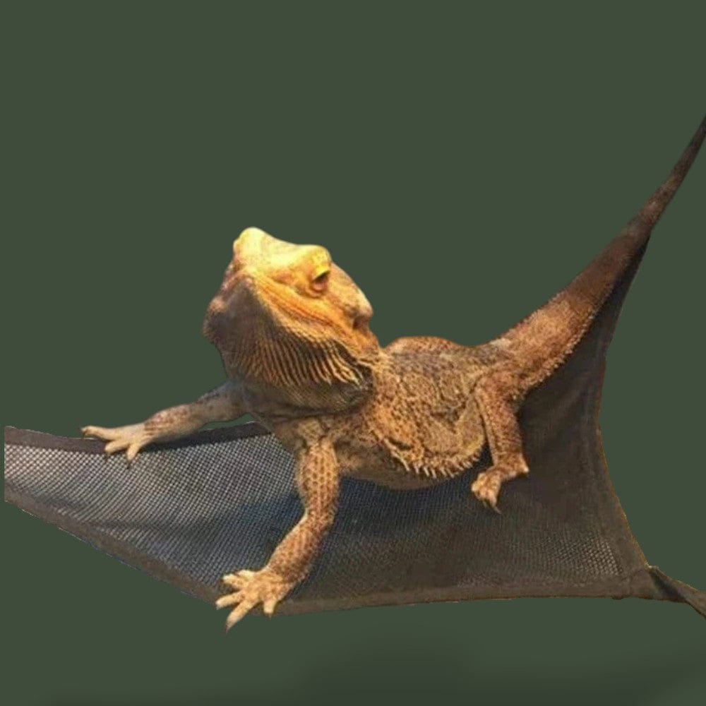 Hamac | Reptile Terranys