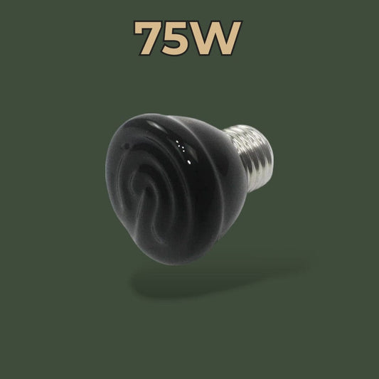 Lampe Céramique | Reptile  Terranys