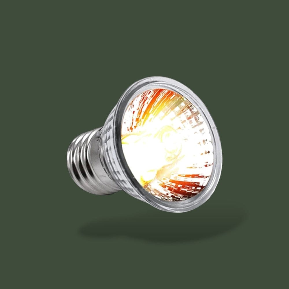 Lampe Chauffante pour Terrarium Tortue Terranys