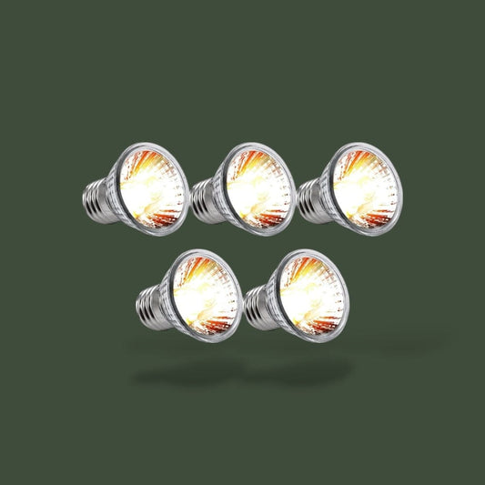 Lampe Chauffante | Tortue Terrestre Terranys