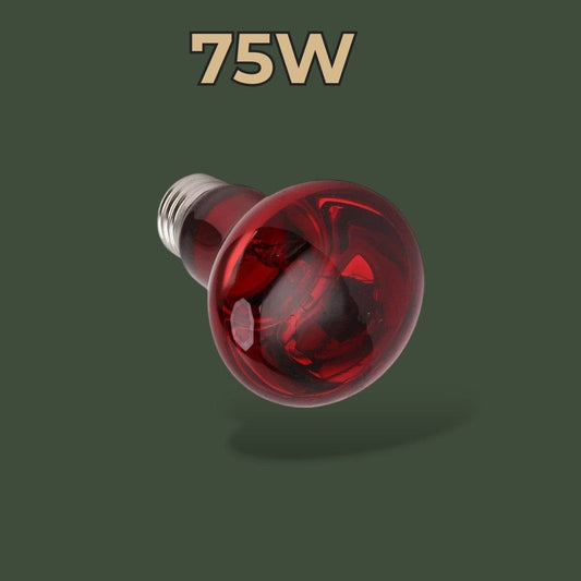 Lampe Infrarouge Chauffante pour Terrarium Terranys